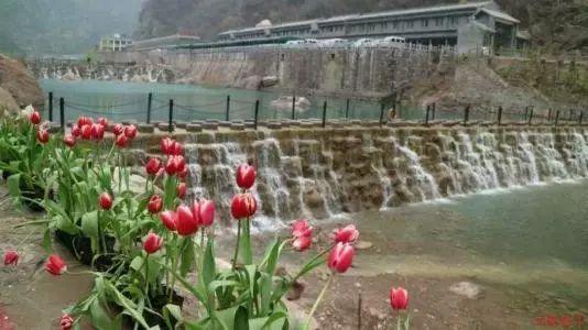 幻兽帕鲁游戏无法云同步