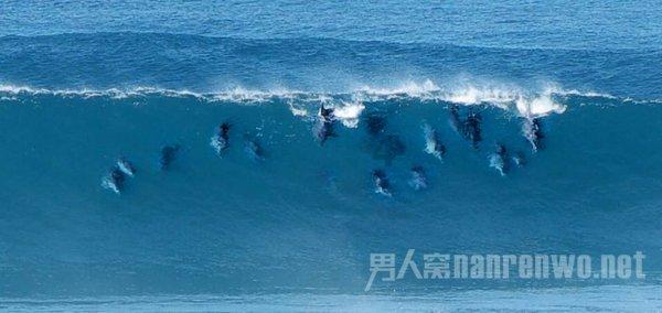 京东公益“星光传递”计划圆满完成 向百余所小学捐赠图书近7万本