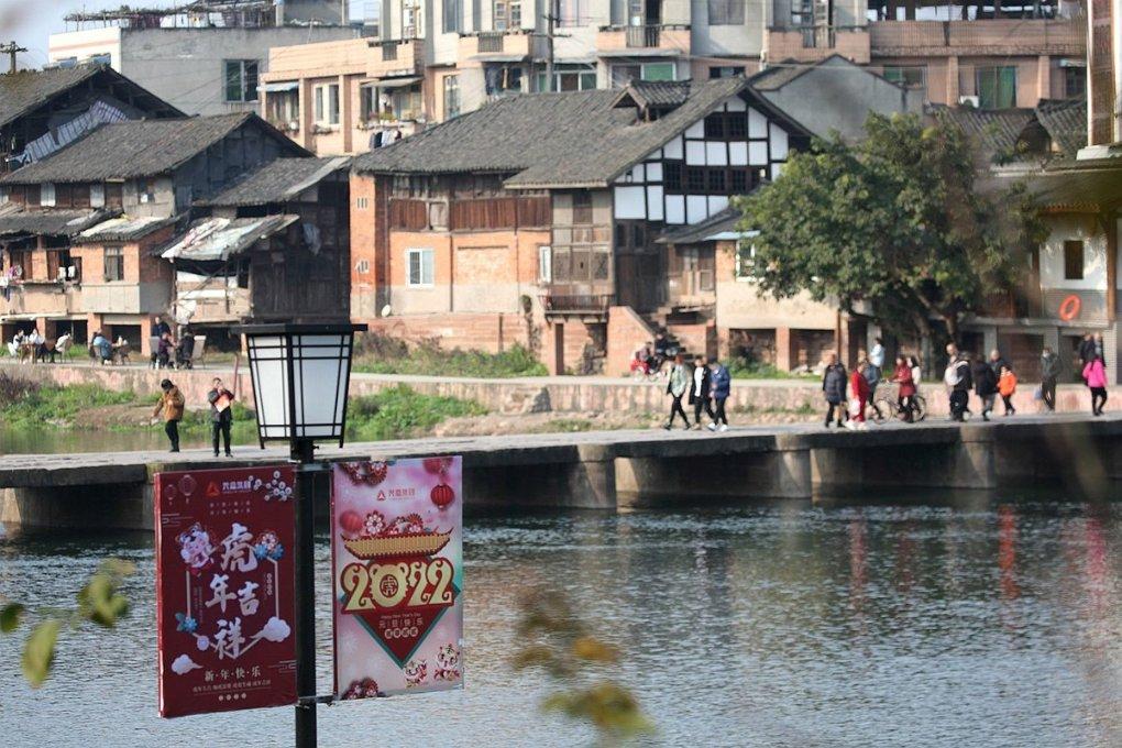 除虫大师